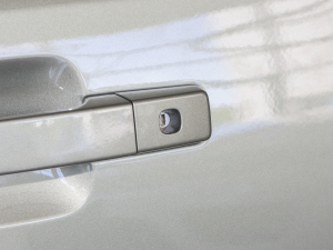 202390 2.0T P300 X-DYNAMIC HSE ^