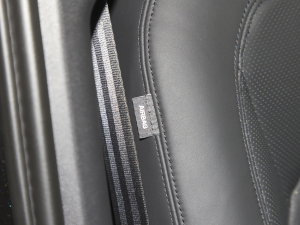 2023110 5.0T V8 п؅^(q)