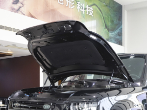 2023110 5.0T V8 l(f)(dng)C(j)œ