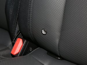 2023Ŀ 110 3.0T P400 X-DYNAMIC HSE g