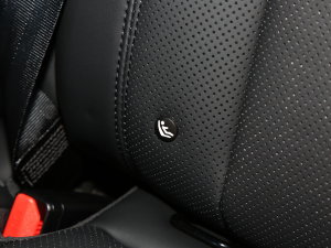 2023110 3.0T P400 75 g