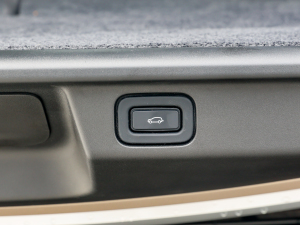 20234.4 V8 530PS װl g