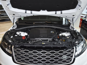 2023250PS l(f)(dng)C(j)