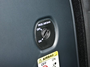 20125.0L V8 NA HSE g