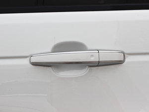 20135.0 V8 NA Vogue SE ^