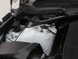 20135.0 V8 NA Vogue SE 