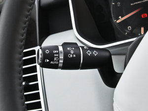 20135.0 V8 NA Vogue SE п؅^