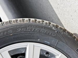 2013Ĵ 5.0 V8 SE ݆̥ߴ