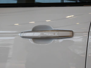 2014款3.0 V6 SC Vogue SE 主驾门拉手
