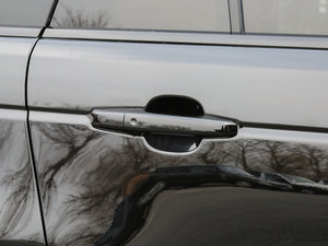 20173.0 V6 Vogue (bio)(zhn)S g