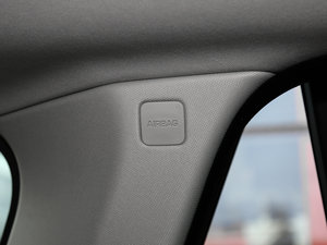 20173.0 V6 Vogue (bio)(zhn)S g