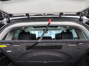 20173.0 V6 Vogue (bio)(zhn)S g