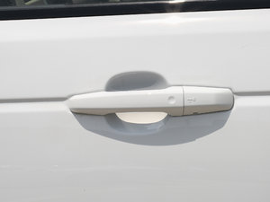 20173.0 V6 Vogue L {T