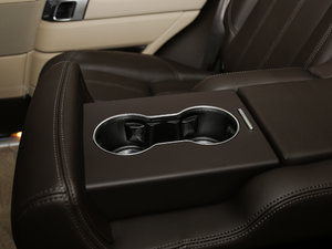 20173.0 V6 Vogue L g