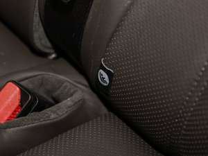 20173.0 V6 Vogue L g