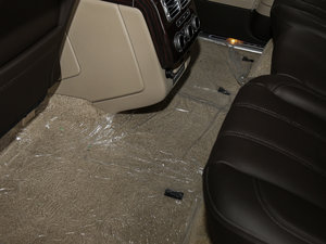 20173.0 V6 Vogue L g