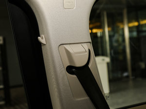 20173.0 V6 Vogue L g