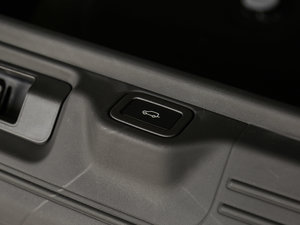 20173.0 V6 Vogue L g