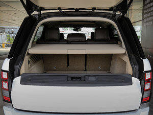 20173.0 V6 Vogue L g