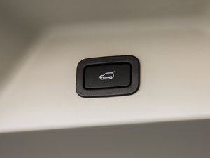 20173.0 V6 Vogue L g