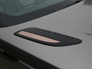 2017P380 SE R-DYNAMIC (x)(ji)^