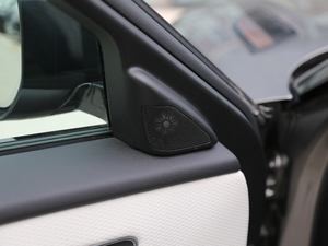 2017P380 SE R-DYNAMIC g