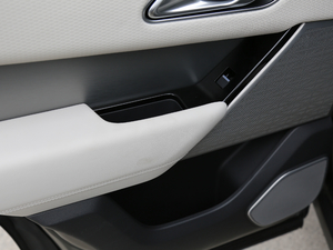 2017P380 SE R-DYNAMIC g