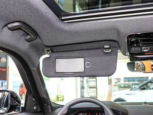 2017P380 SE R-DYNAMIC g