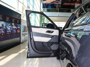 2017P380 SE R-DYNAMIC g