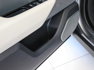 2017P380 SE R-DYNAMIC g