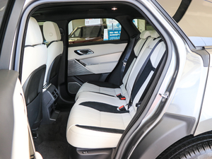 2017P380 SE R-DYNAMIC g