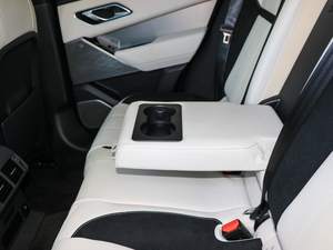 2017P380 SE R-DYNAMIC g