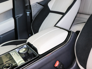 2017P380 SE R-DYNAMIC g