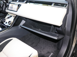 2017P380 SE R-DYNAMIC g