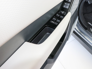 2017P380 SE R-DYNAMIC g