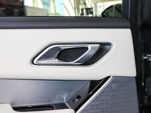 2017P380 SE R-DYNAMIC g