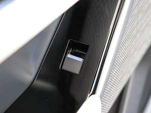 2017P380 SE R-DYNAMIC g