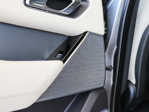 2017P380 SE R-DYNAMIC g