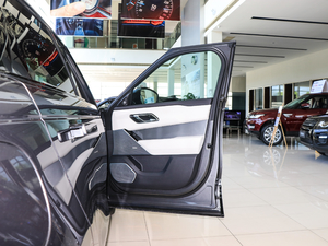 2017P380 SE R-DYNAMIC g