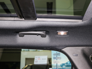 2017P380 SE R-DYNAMIC g