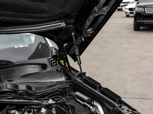 20183.0 V6 hЄDYNAMIC 