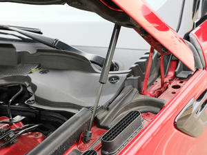 20183.0 V6 hЄ(chung)DYNAMIC 