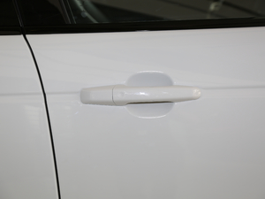 20183.0 V6 SC Vogue  ^