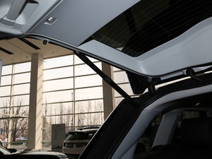 20183.0 V6 SC Vogue  g