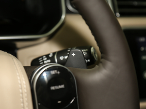 20183.0 V6 SC Vogue L п؅^