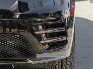 2018P380 R-DYNAMIC S ǰF