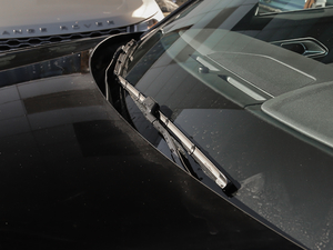 2018P380 R-DYNAMIC S ˢ