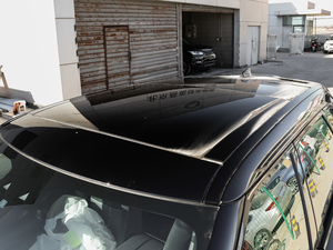 2018P380 R-DYNAMIC S ܇