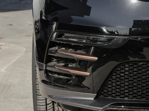 2018P380 R-DYNAMIC S ^