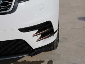 2018P380 R-DYNAMIC SE ǰF